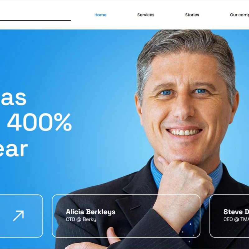 Business website design