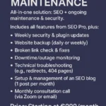 SEO Maintenance Package